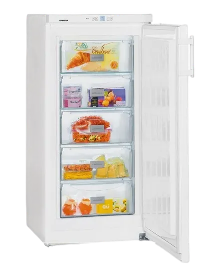 Ремонт морозильных камер Liebherr GNP 1956 в сервисном центре FIX-Liebherr